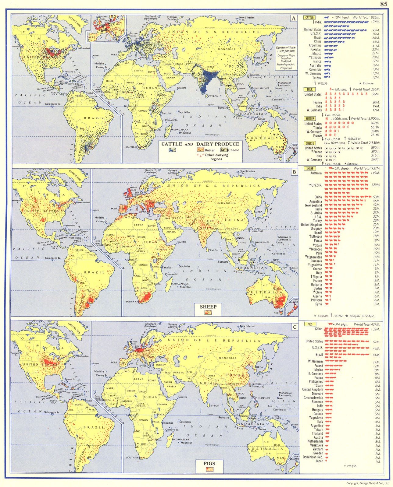 WORLD. Cattle and Dairy Produce; Sheep; Pigs 1962 old vintage map plan chart